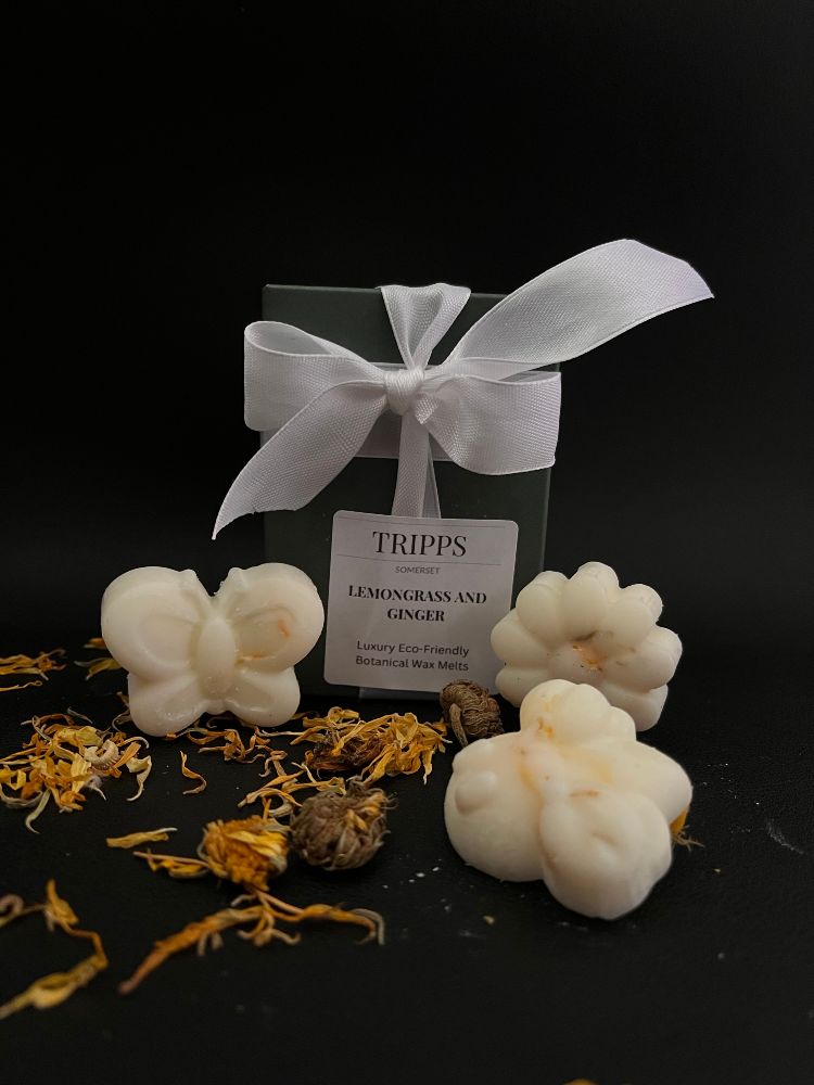 Where can I buy high-quality wax melts?